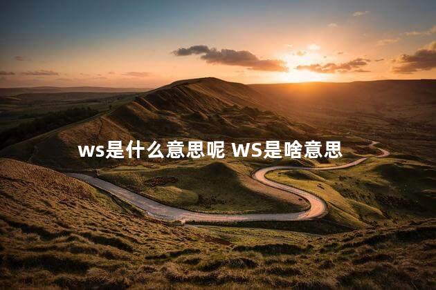 ws是什么意思呢 WS是啥意思